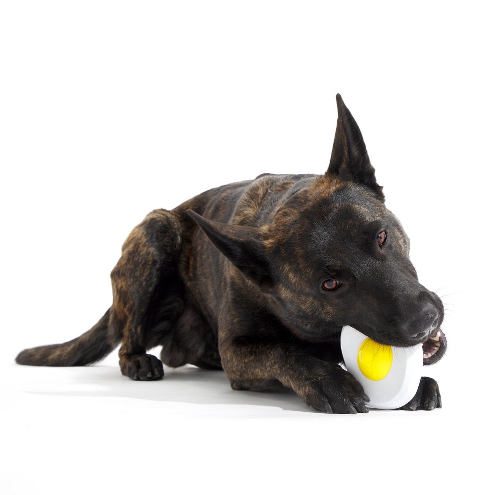 BARK Egg over Hard Dog Toy, White & Yellow - Barkfest in Bed Animals & Pet Supplies > Pet Supplies > Dog Supplies > Dog Toys BARK   