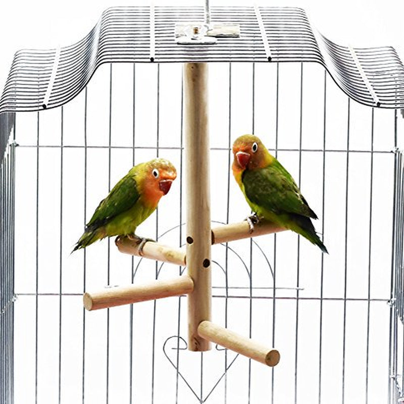 Bonaweite Bird Stand for Cage Parrot Perch Climbing Tree Toy Birdcage Decor Wood Laddered Platform Play Gym Stand Playstand Exercise Training Toys&Nbsp;For Small Medium Conures Cockatiels Parrotl Animals & Pet Supplies > Pet Supplies > Bird Supplies > Bird Gyms & Playstands Bonaweite   