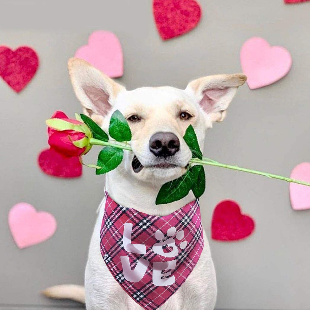 Valentines Day Dog Bandana - Set of 2 Reversible Triangle Bibs Plaid Pet Kerchief Scarf Animals & Pet Supplies > Pet Supplies > Dog Supplies > Dog Apparel Pawskido   