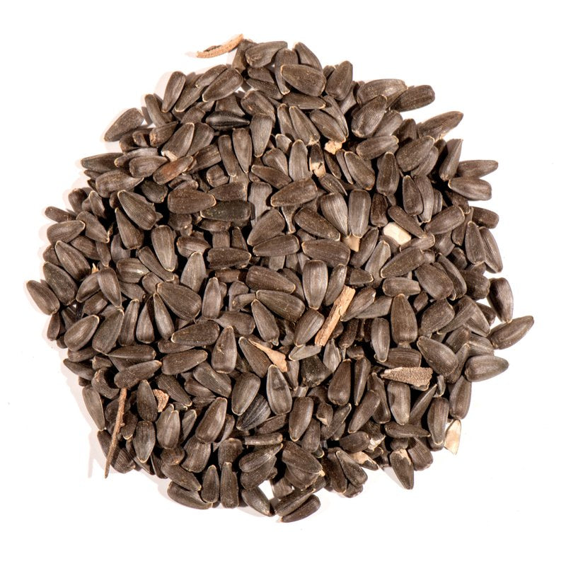 Nature'S Nuts Premium Assorted Species Black Oil Sunflower Seed Wild Bird Food 40 Lb Animals & Pet Supplies > Pet Supplies > Bird Supplies > Bird Food Chuckanut Products Inc   