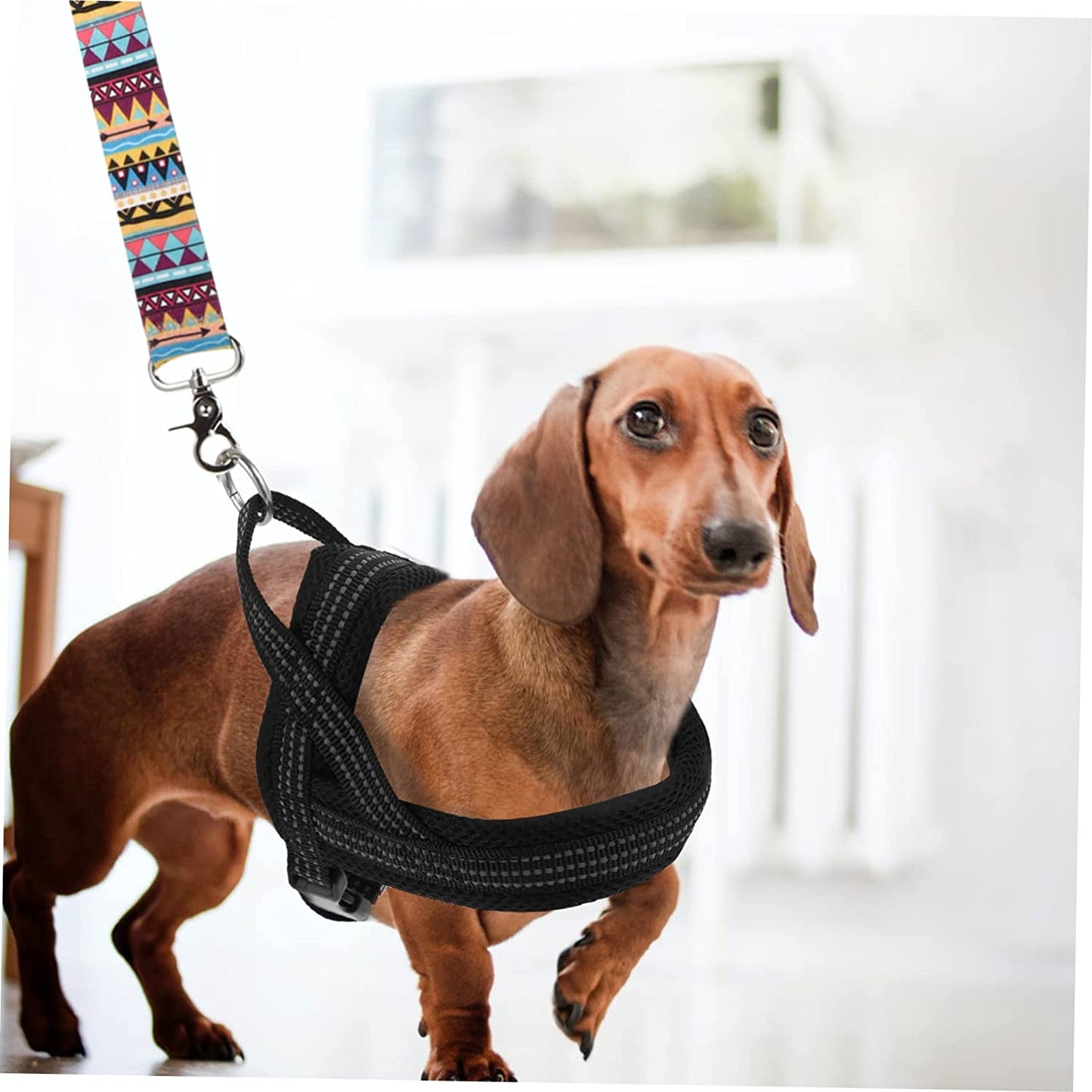 Balacoo 1Pc Chest Vest Walking Strap Kitten Pet Breast Supplies Traction Black Reflective Nylon Collar Puppy for Outdoor Dog Travel Protector Harness Animals & Pet Supplies > Pet Supplies > Dog Supplies > Dog Apparel Balacoo   