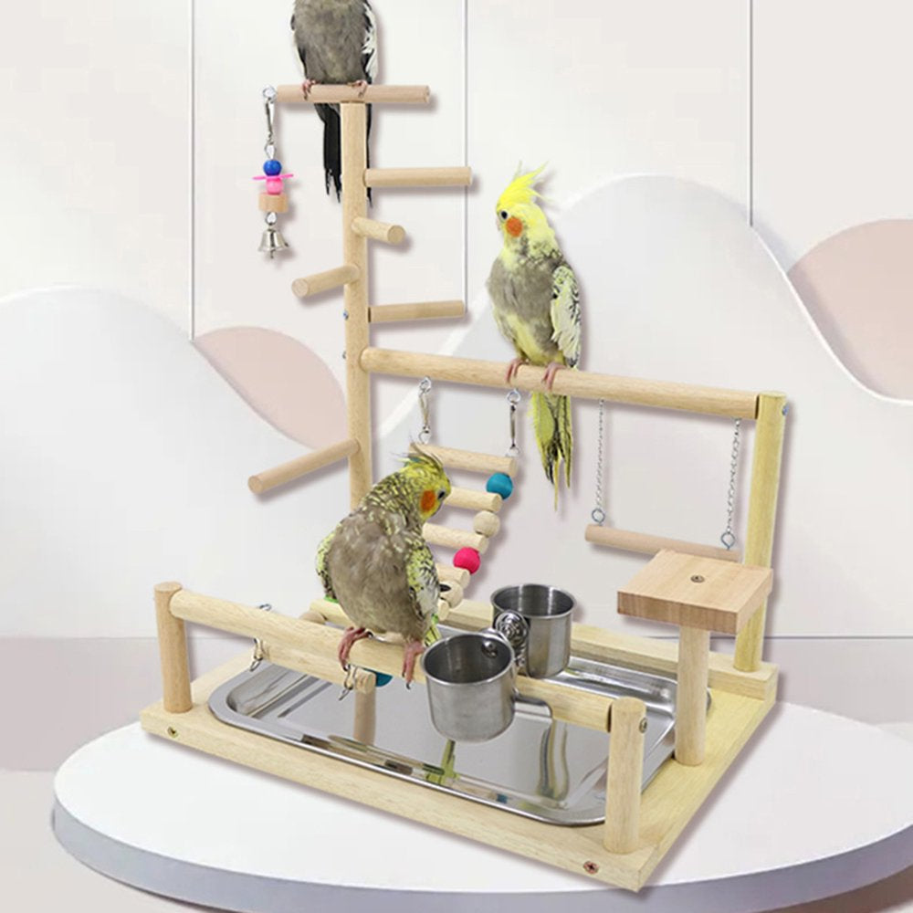 Bird Perch Stand Parrots Playstand Exercise Playgym with Feeder Cups Toys Gift Animals & Pet Supplies > Pet Supplies > Bird Supplies > Bird Gyms & Playstands BYDEZCON   