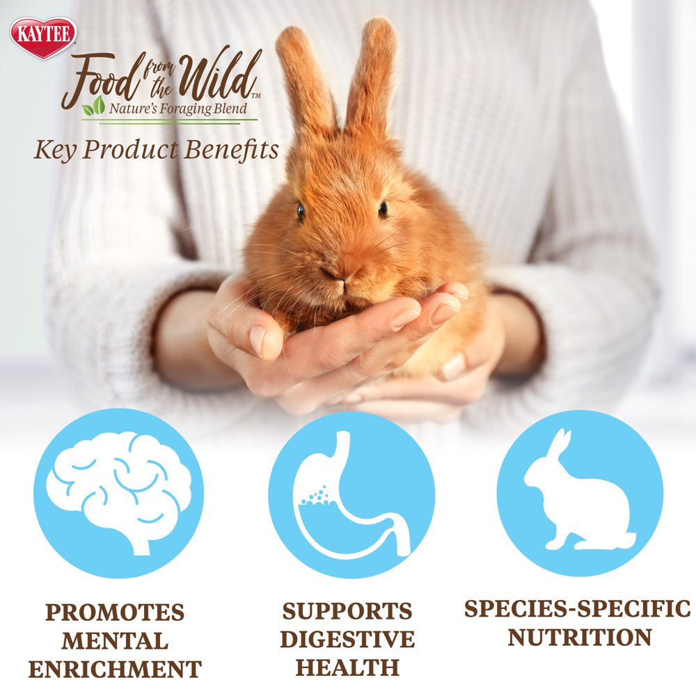 Kaytee Food from the Wild Rabbit Animals & Pet Supplies > Pet Supplies > Small Animal Supplies > Small Animal Food Central Garden and Pet   