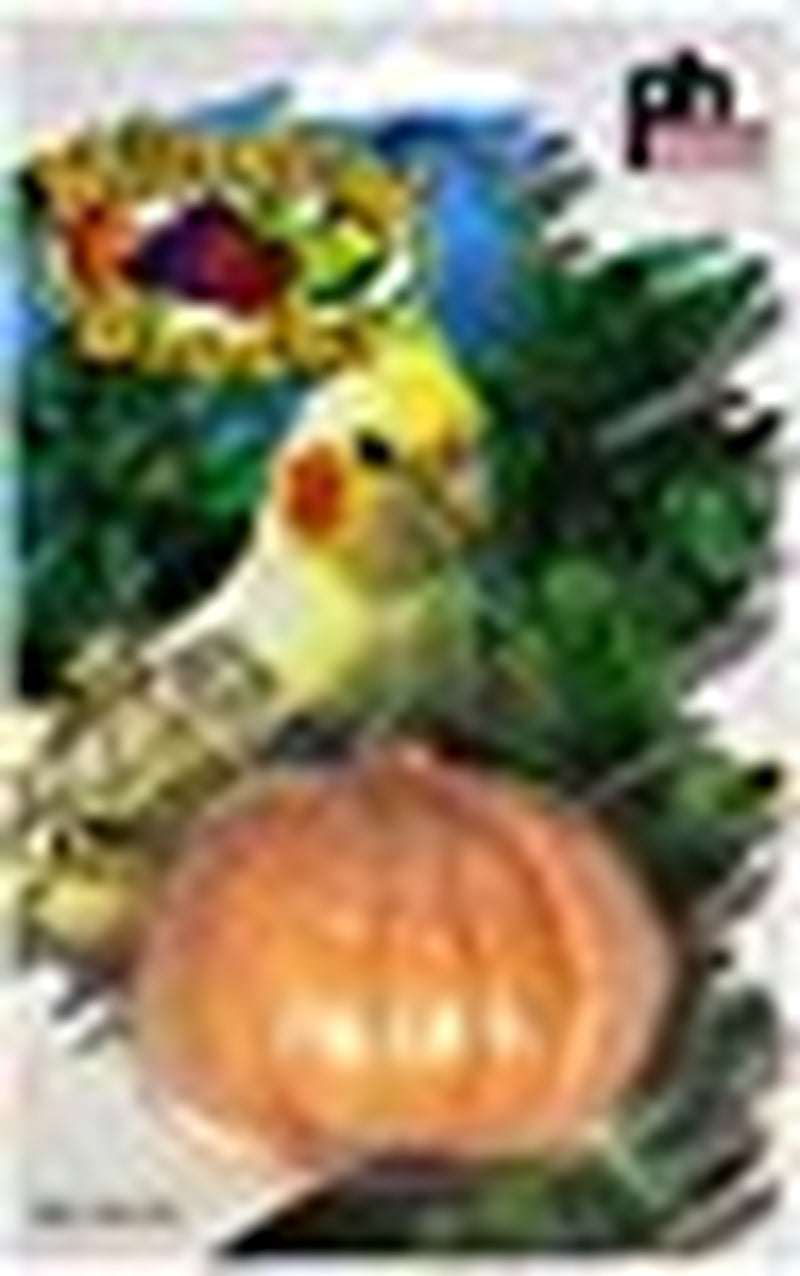 Prevue Pet Products Mineral Block Fruit Assortment for Pet Birds  PREVUE PET PRODUCTS   