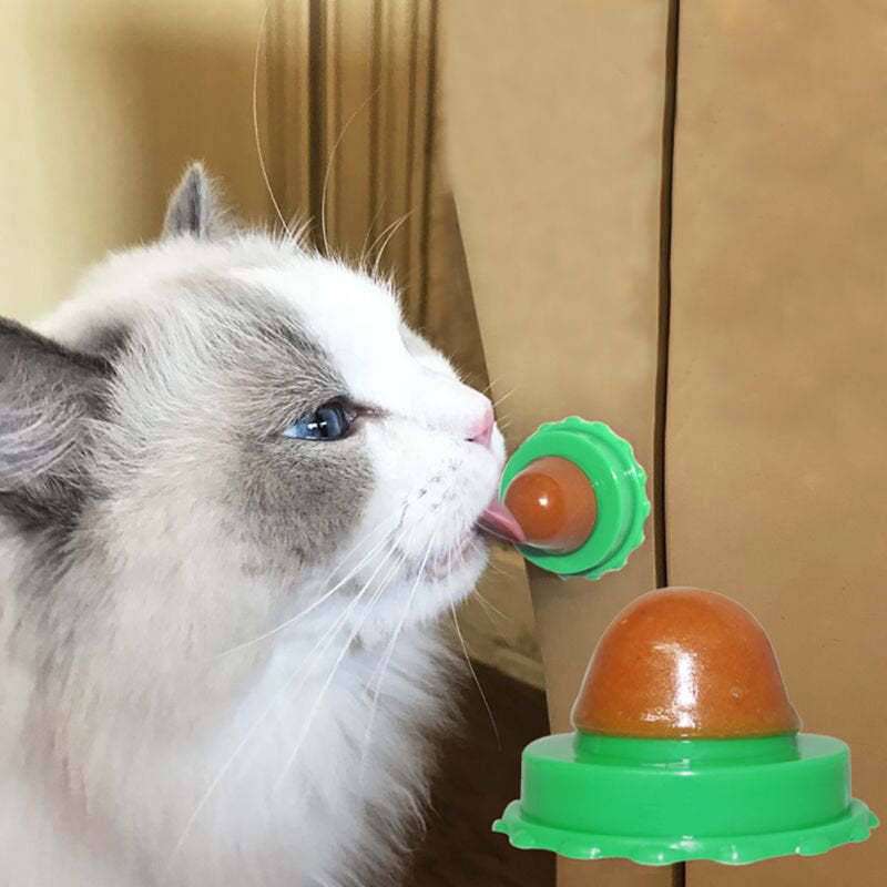 Cat Treats Energy Ball with Natural Catnip,Cat Snacks Licking Sugar Snacks Ball