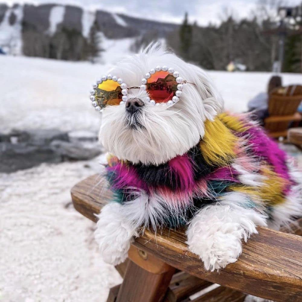 Lovely Pet Sunglasses, Pearl Inlaid Cat Glasses round Reflection Glasses Funny Photos Props, Eye-Wear for Small Dog Cat(L) Animals & Pet Supplies > Pet Supplies > Dog Supplies > Dog Apparel generic   