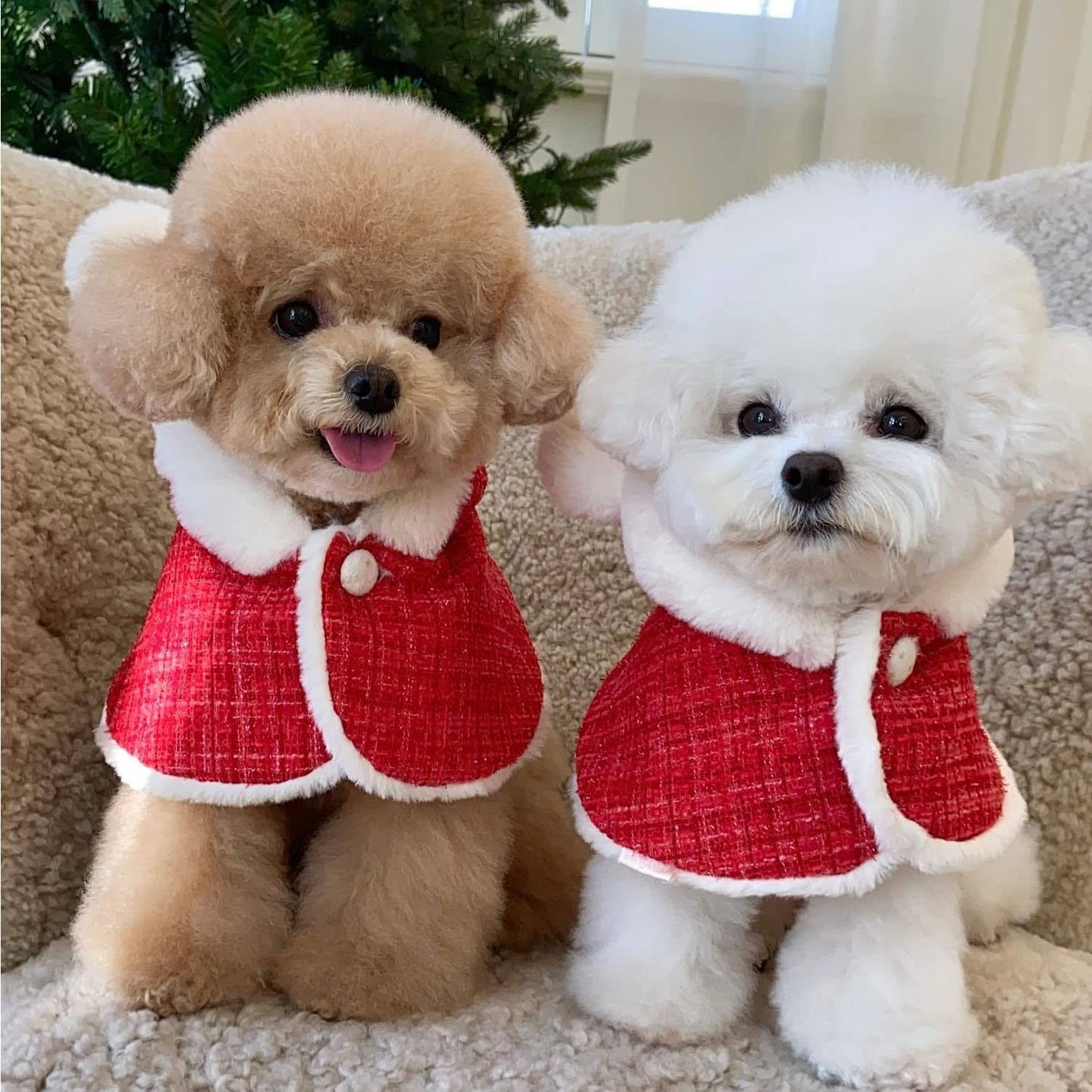 Dog New Year Outfit, Pet Cheongsam, Dog Tang Costume Warm Coat for Puppy Small Medium Dog (Cape, Neck Girth 10") Animals & Pet Supplies > Pet Supplies > Dog Supplies > Dog Apparel HDKUW   