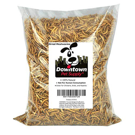 Downtown Pet Supply Dried Mealworms 100% Natural Treats for Wild Birds, Chickens, Reptiles, Fish, Turtles - Food for Birds, Turkeys (2 LB) Animals & Pet Supplies > Pet Supplies > Bird Supplies > Bird Treats Downtown Pet Supply   