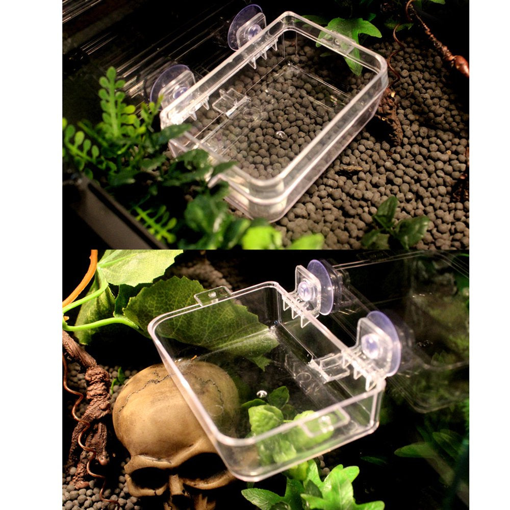 Transparent Reptile Feeding Dish Bowl for Reptiles & Amphibians Animals & Pet Supplies > Pet Supplies > Reptile & Amphibian Supplies > Reptile & Amphibian Food Gazechimp   