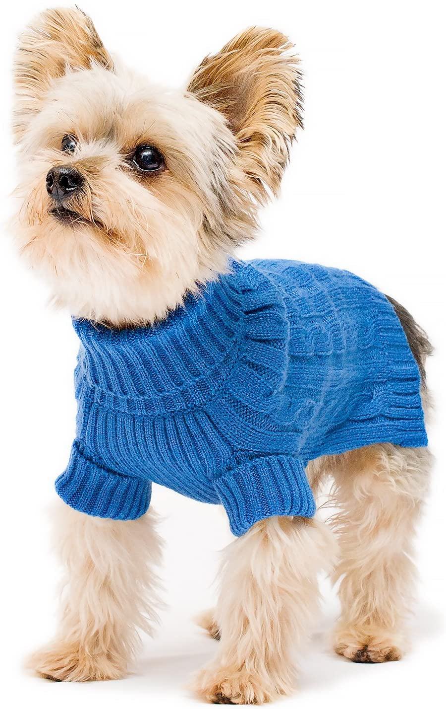 Stinky G Dog Sweater Turtleneck Purple Size #08 Animals & Pet Supplies > Pet Supplies > Dog Supplies > Dog Apparel Stinky G Royal Blue #10 (back length 10" chest 13" - 16") 