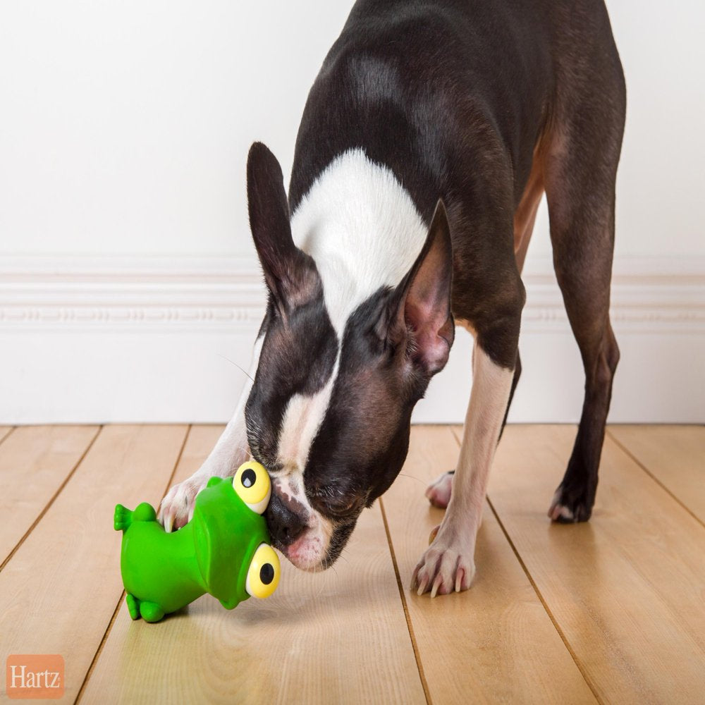 Hartz Bug Eyes Dog Toy, Animal May Vary Animals & Pet Supplies > Pet Supplies > Dog Supplies > Dog Toys Hartz Mountain Corp   