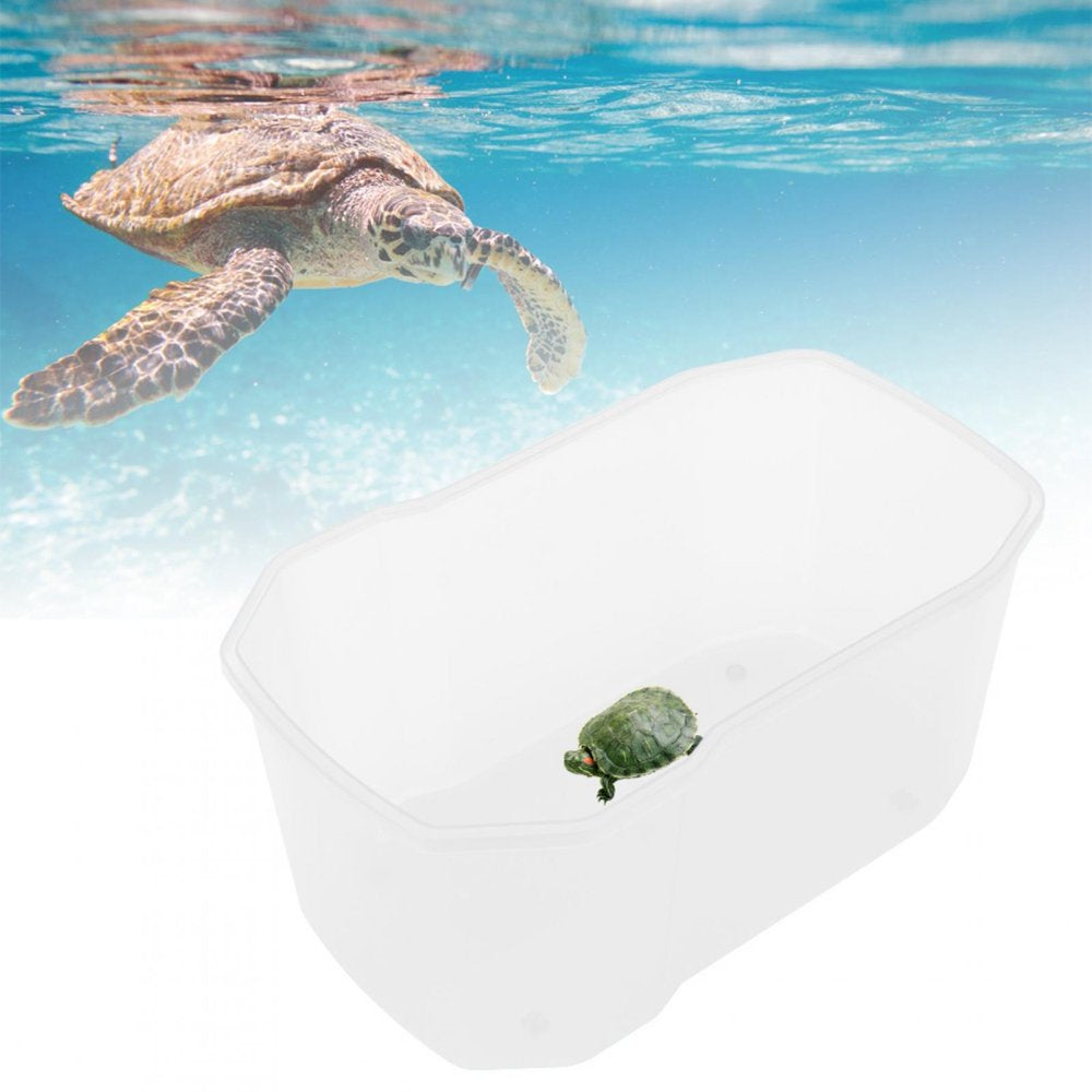 Reptile Fish Tank, Beautiful Fish Tank, for Reptile Animals & Pet Supplies > Pet Supplies > Reptile & Amphibian Supplies > Reptile & Amphibian Food Octpeak   