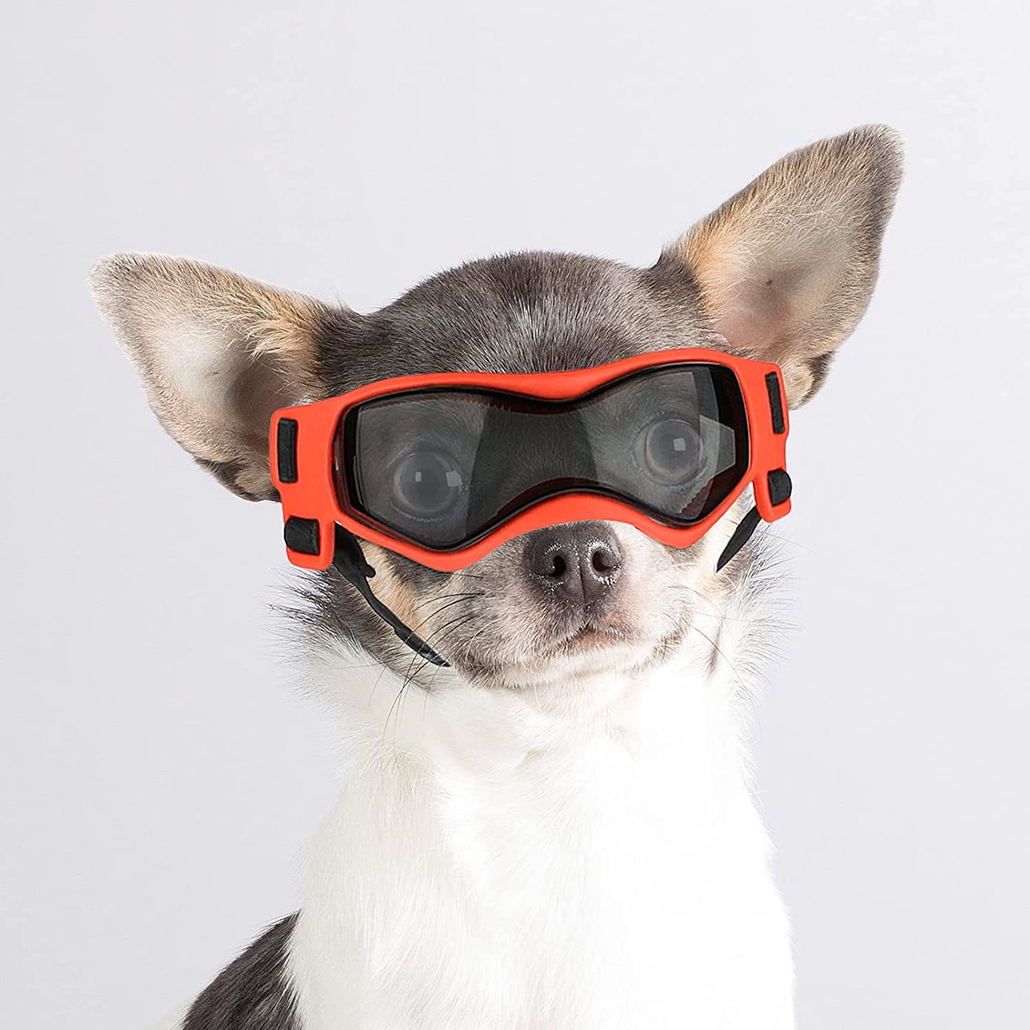 Enjoying Dog Sunglasses Small Breed Dogs Goggles UV Protection Eye Wear Windproof Anti-Fog Pet Glasses for Doggy about over 5 Lbs, Black Animals & Pet Supplies > Pet Supplies > Dog Supplies > Dog Apparel Enjoying Cool Orange  