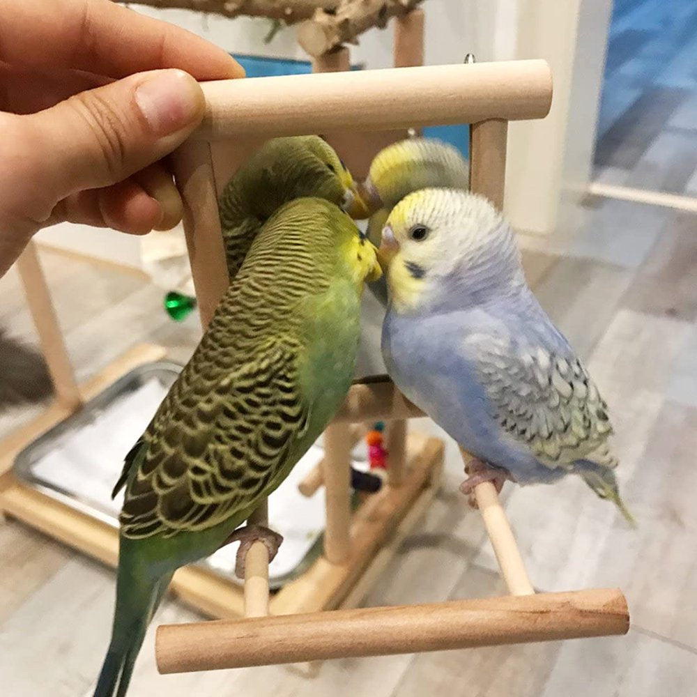 Toorise Bird Mirror Wooden Bird Swing Parrot Cage Toys Swing Hanging Play with Mirror Parrot Perch Stand Interactive Fun Play Toy for Birds African Greys Parakeet Cockatoo Cockatiel Lovebirds Animals & Pet Supplies > Pet Supplies > Bird Supplies > Bird Toys Toorise   