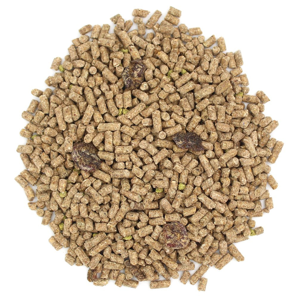 Vitakraft Vitasmart® Sugar Glider Food, 28 Oz. Animals & Pet Supplies > Pet Supplies > Small Animal Supplies > Small Animal Food Vitakraft Sun Seed   