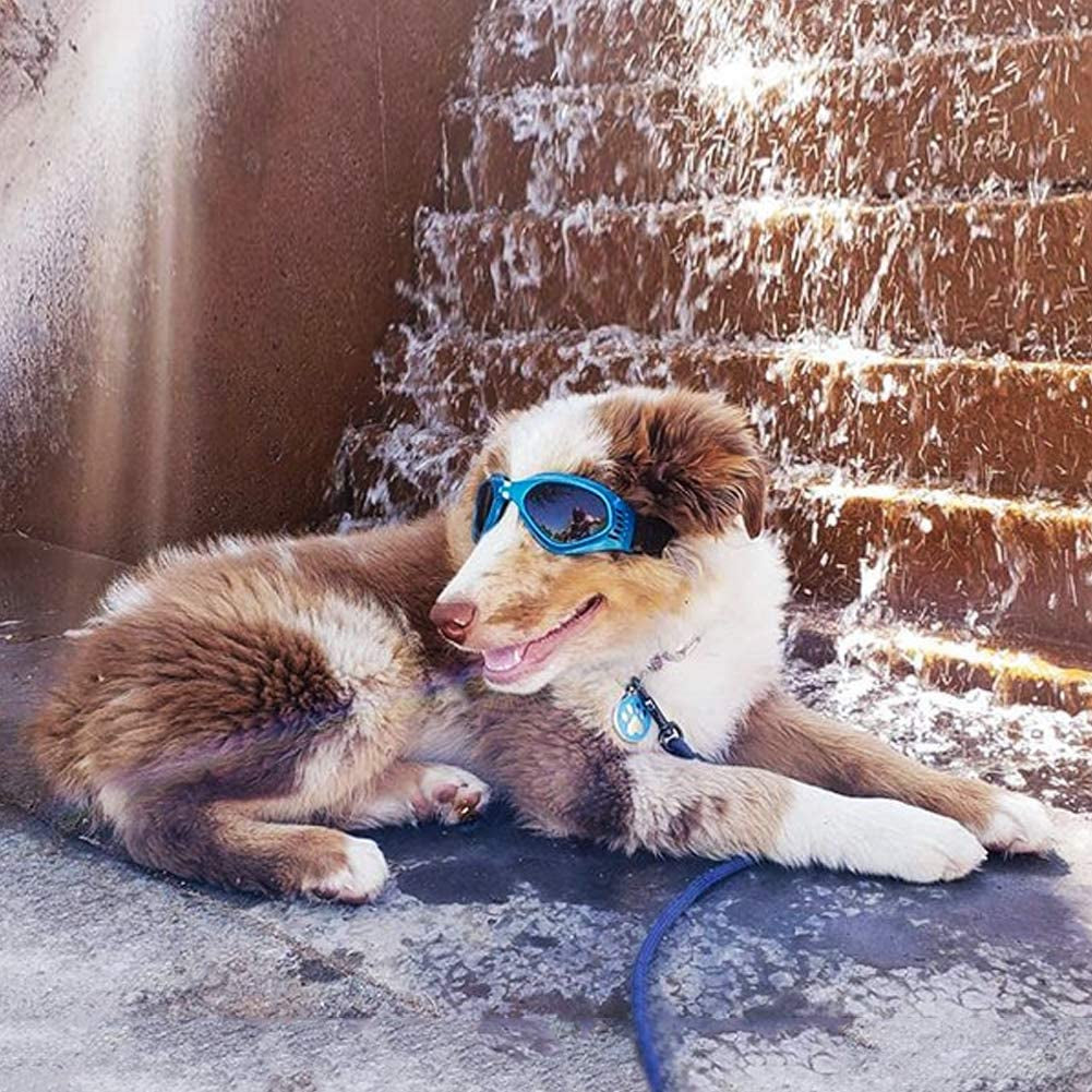 Enjoying Pet/Dog Puppy UV Goggles Sunglasses Waterproof Protection Sun Glasses for Dog - Blue Animals & Pet Supplies > Pet Supplies > Dog Supplies > Dog Apparel Enjoying   