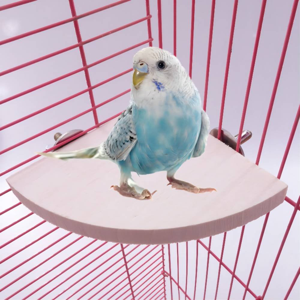 Bird Perch Platform, Parrot Stand Sector Playground Wood Perch Stand Toy Cage Accessories Exercise Toy for Parakeet Conure Cockatiel Budgie Gerbil Rat Mouse Chinchilla Hamster Animals & Pet Supplies > Pet Supplies > Bird Supplies > Bird Cage Accessories PS20220428   