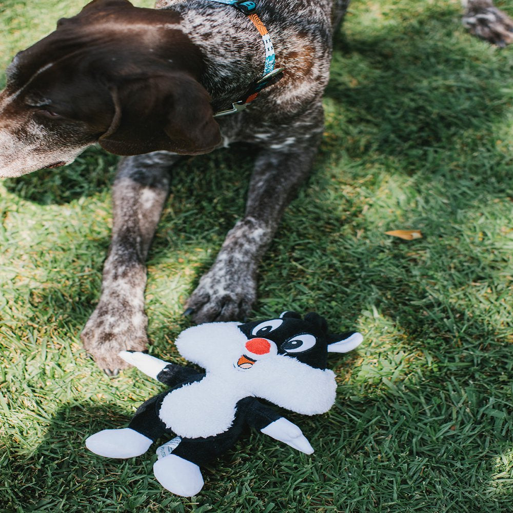 Buckle-Down Dog Toy, Looney Tunes, Plush Squeaker Sylvester the Cat Full Body Animals & Pet Supplies > Pet Supplies > Dog Supplies > Dog Toys Buckle-Down   