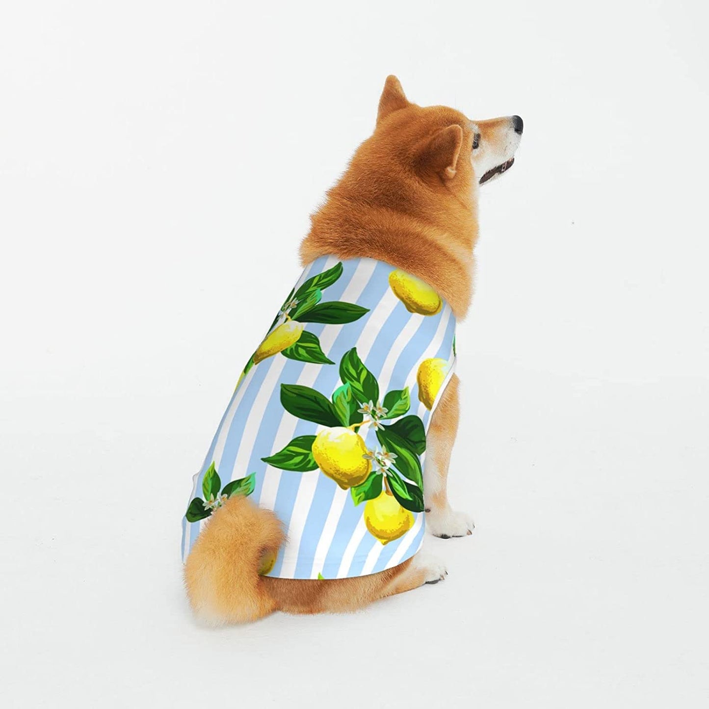 Green Clover Dog Puppy Cotton Vest, St. Patrick'S Day Washable Pets Costume for Kitty Cats Dogs All Seasons 2XL Animals & Pet Supplies > Pet Supplies > Dog Supplies > Dog Apparel Fiephvsa Watercolor Lemon 2XL 