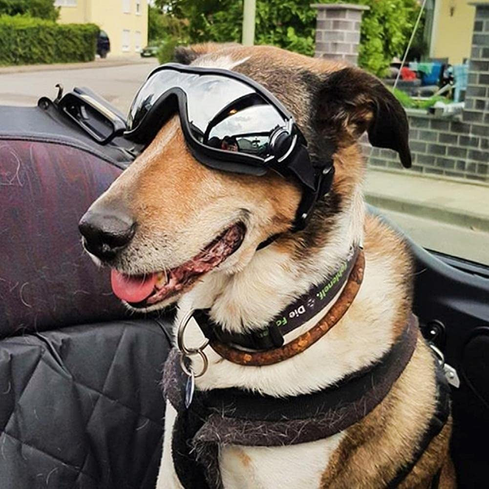 FOKEN Pet Goggles Dog Goggles Waterproof Windproof Dog Sunglasses with Adjustable Strap Anti-Uv Eye Protection for Dogs Silver Medium Animals & Pet Supplies > Pet Supplies > Dog Supplies > Dog Apparel FOKEN   