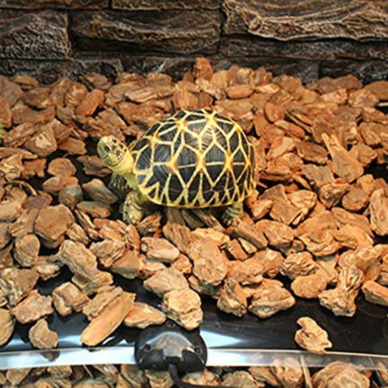 Foeses Reptile Warmer Mat under Tank Heater with Temperature Controller Animals & Pet Supplies > Pet Supplies > Reptile & Amphibian Supplies > Reptile & Amphibian Substrates Foeses   