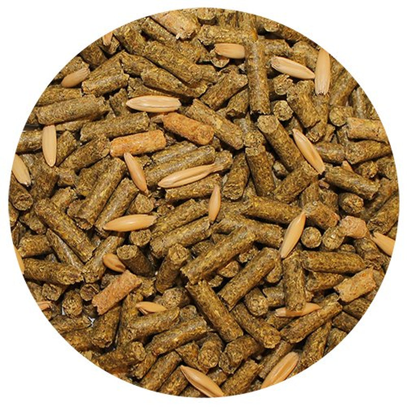 Exotic Nutrition Degu Complete 18 Lb. Animals & Pet Supplies > Pet Supplies > Small Animal Supplies > Small Animal Food Exotic Nutrition   