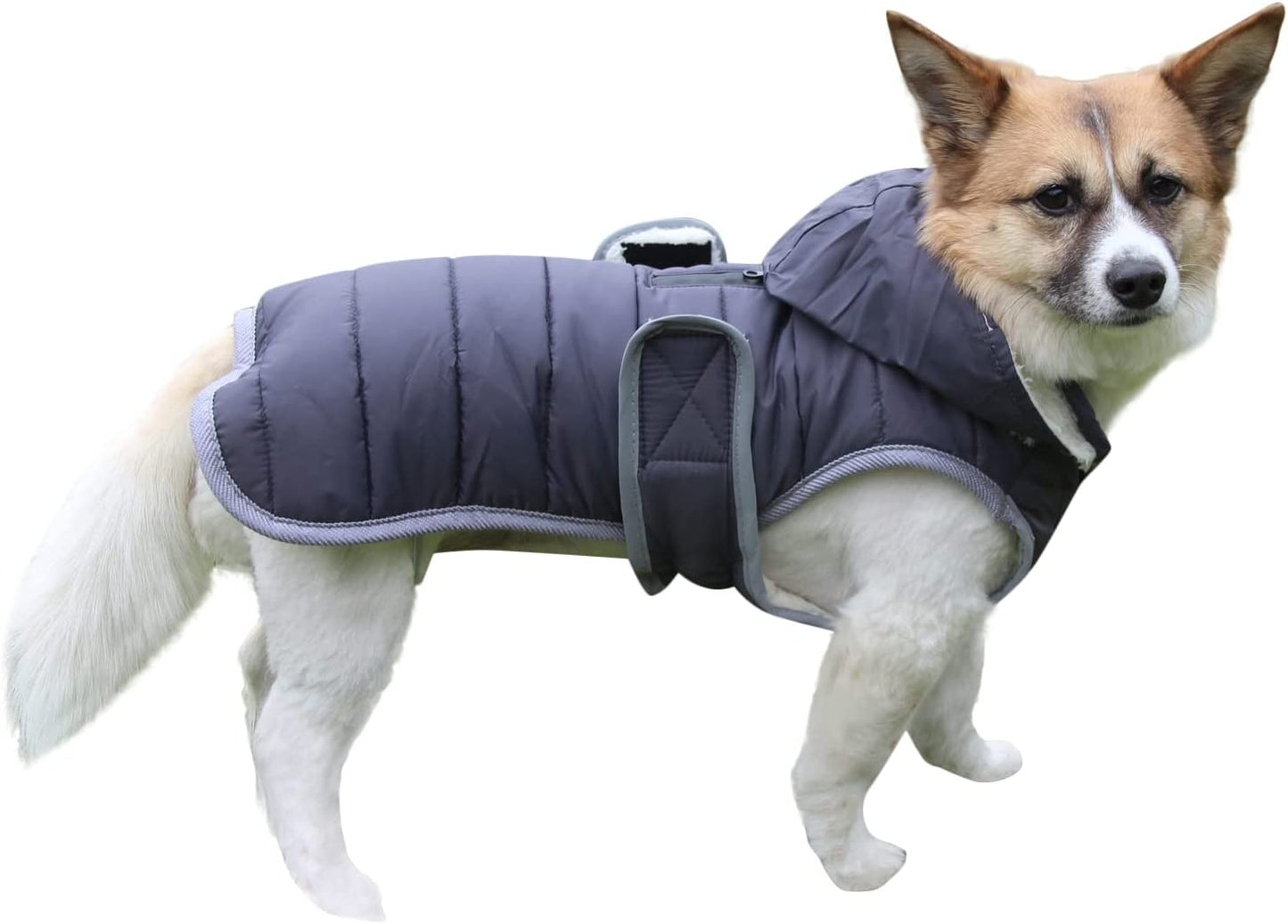 Joydaog Fleece Dog Hoodie for Medium Dogs Warm Puppy Jacket for Cold Winter Waterproof Dog Coats with Hood,Grey L Animals & Pet Supplies > Pet Supplies > Dog Supplies > Dog Apparel Qingwanke Grey XX-Large (Pack of 1) 