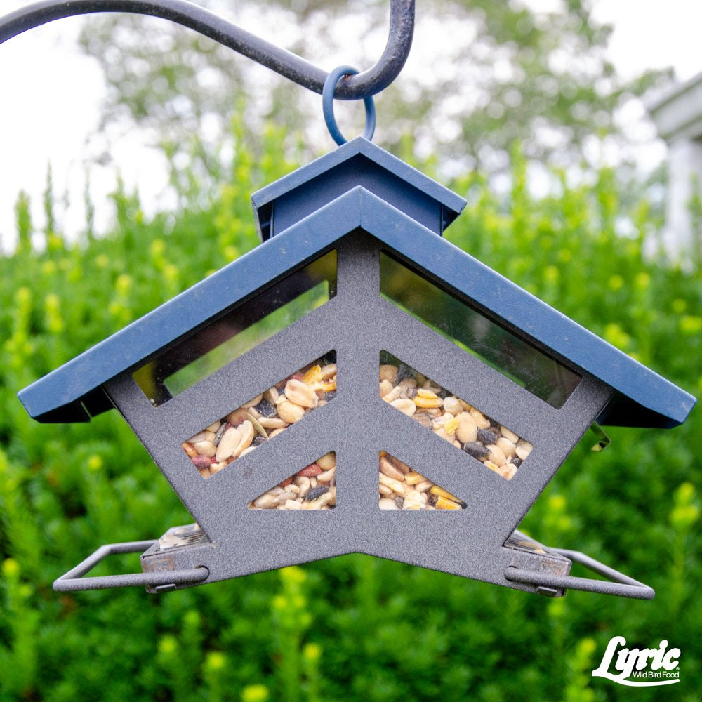 Lyric Fruit and Nut Wild Bird Seed, High Energy Wild Bird Food Mix, 5