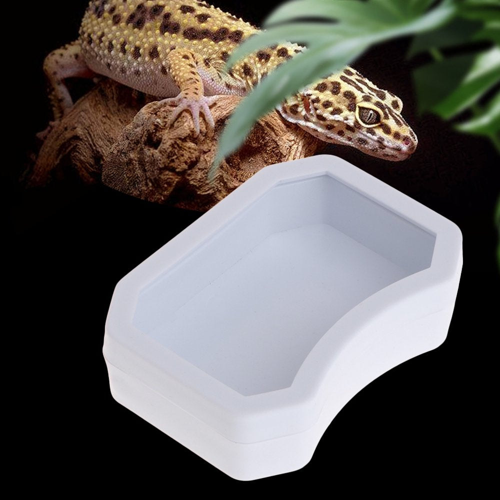 Reptile Water Dish Food Bowl for Pet Gecko Spider Scorpion Chameleon Reptiles Amphibians Terrarium Habitat 3 Sizes