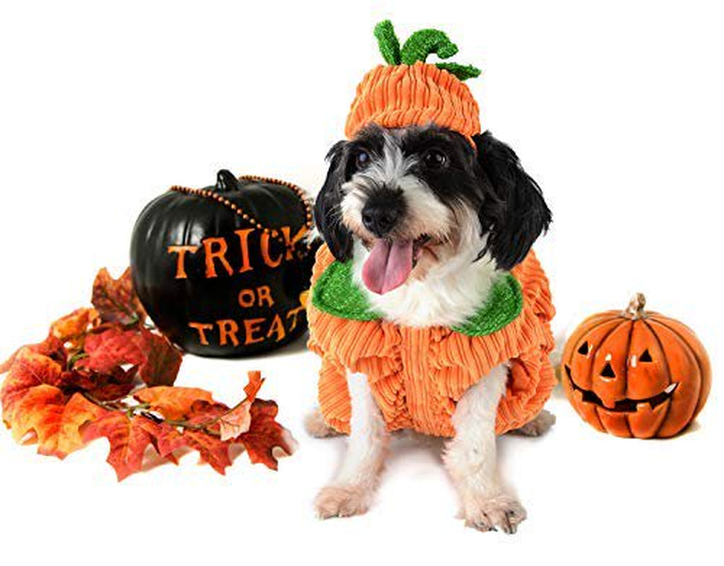 Dog Christmas Shirt, TINGOR Pet Clothes, Cute Cat Dog Christmas Pumpkin Costumes, Dog Apparel, Christmas Costumes for Dogs, Creative Christmas Pumpkin Shirts for Dogs Animals & Pet Supplies > Pet Supplies > Cat Supplies > Cat Apparel TINGOR   