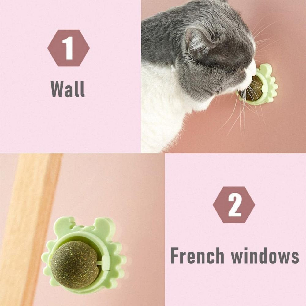 Catnip Squash Edible Cat Toys Cat Lick Ball Teeth Cleaning Catnip Toys for Cats, Natural, Fun and Engaging Play 3 Pack Animals & Pet Supplies > Pet Supplies > Cat Supplies > Cat Treats Ugerlov   