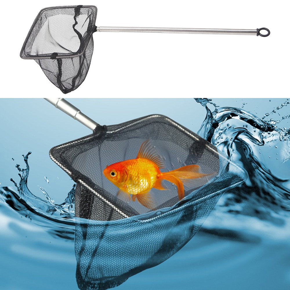 Aquarium Fishing Handle Extendable Shrimp Small Betta Tetra Fish Tank Mesh Net Animals & Pet Supplies > Pet Supplies > Fish Supplies > Aquarium Fish Nets CHANCELAND   