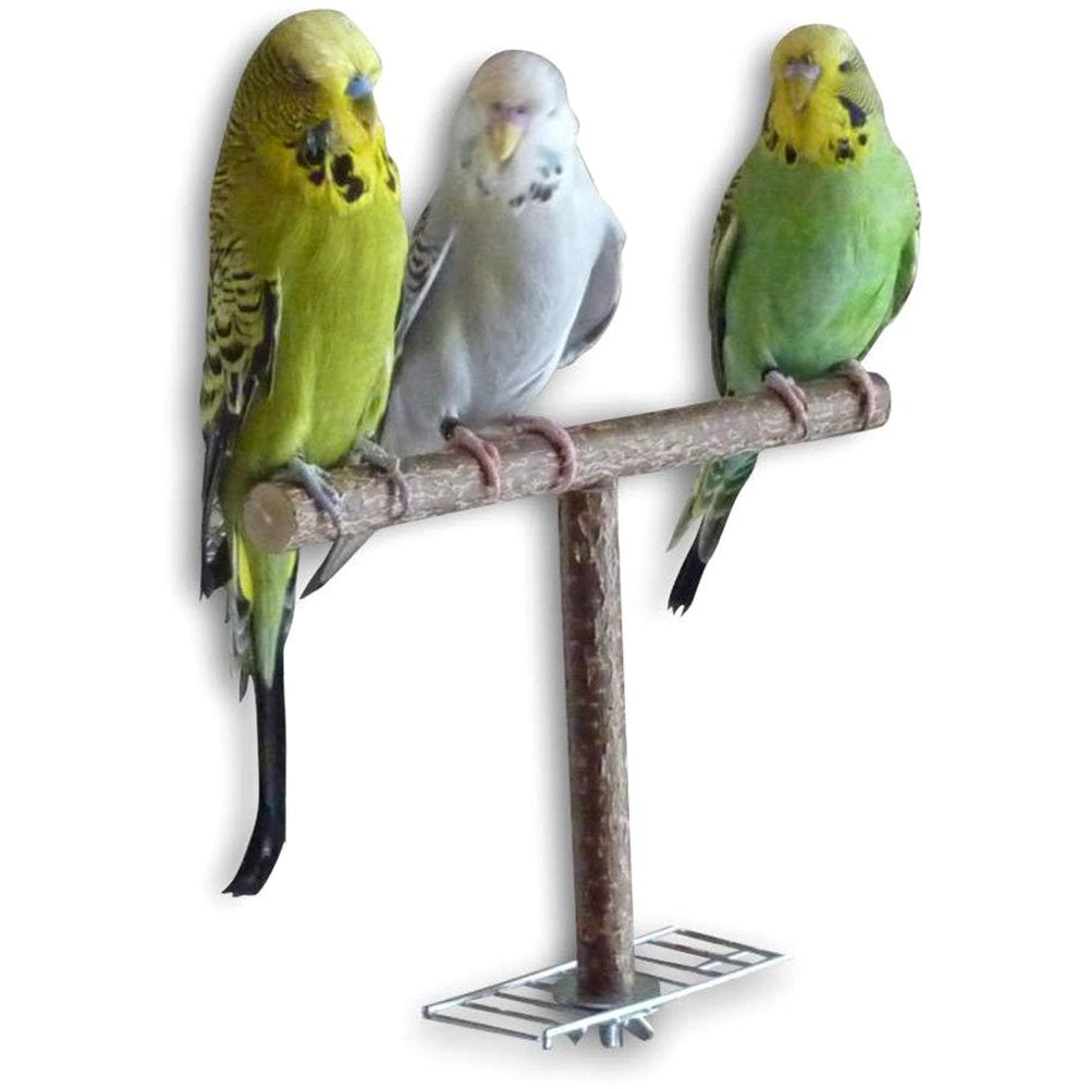 BINYOU Bird Parrot Cage Toys Training T Perch Grinding Chewing Parakeet Natural Wood Stand Toy Animals & Pet Supplies > Pet Supplies > Bird Supplies > Bird Cages & Stands BINYOU   