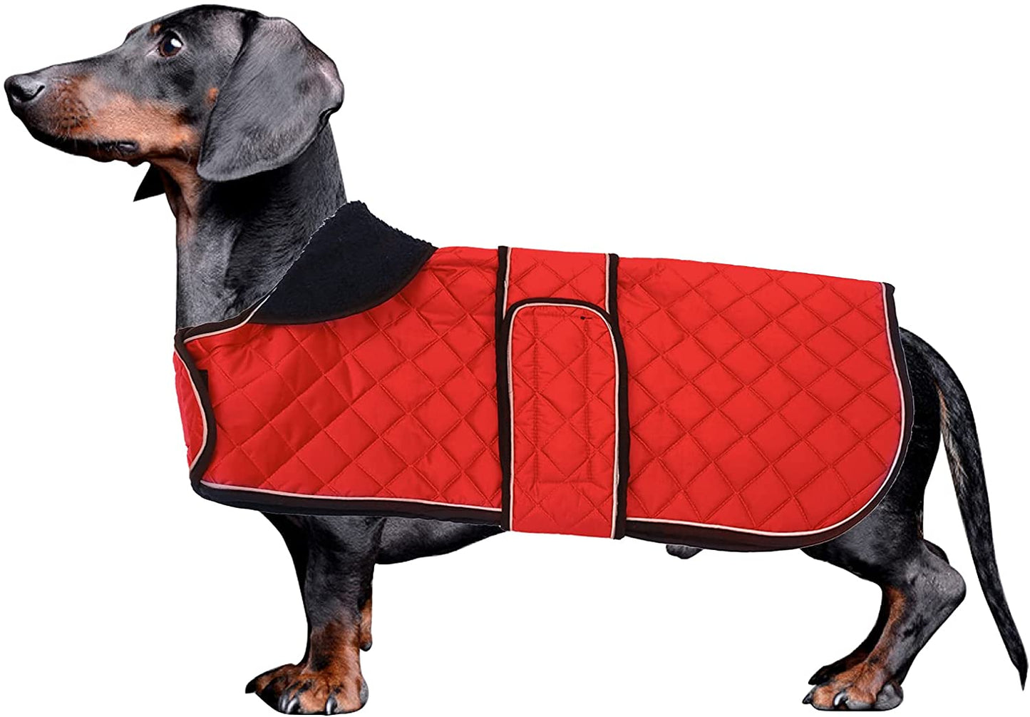 Morezi Dachshund Coats, Dachshund Coat, Coat for Dachshund, Dog Winter Coat with Padded Fleece Lining, Outdoor Dog Apparel with Adjustable Bands - Navy - L Animals & Pet Supplies > Pet Supplies > Dog Supplies > Dog Apparel Morezi Red Medium(Back: 15"-17"in) 