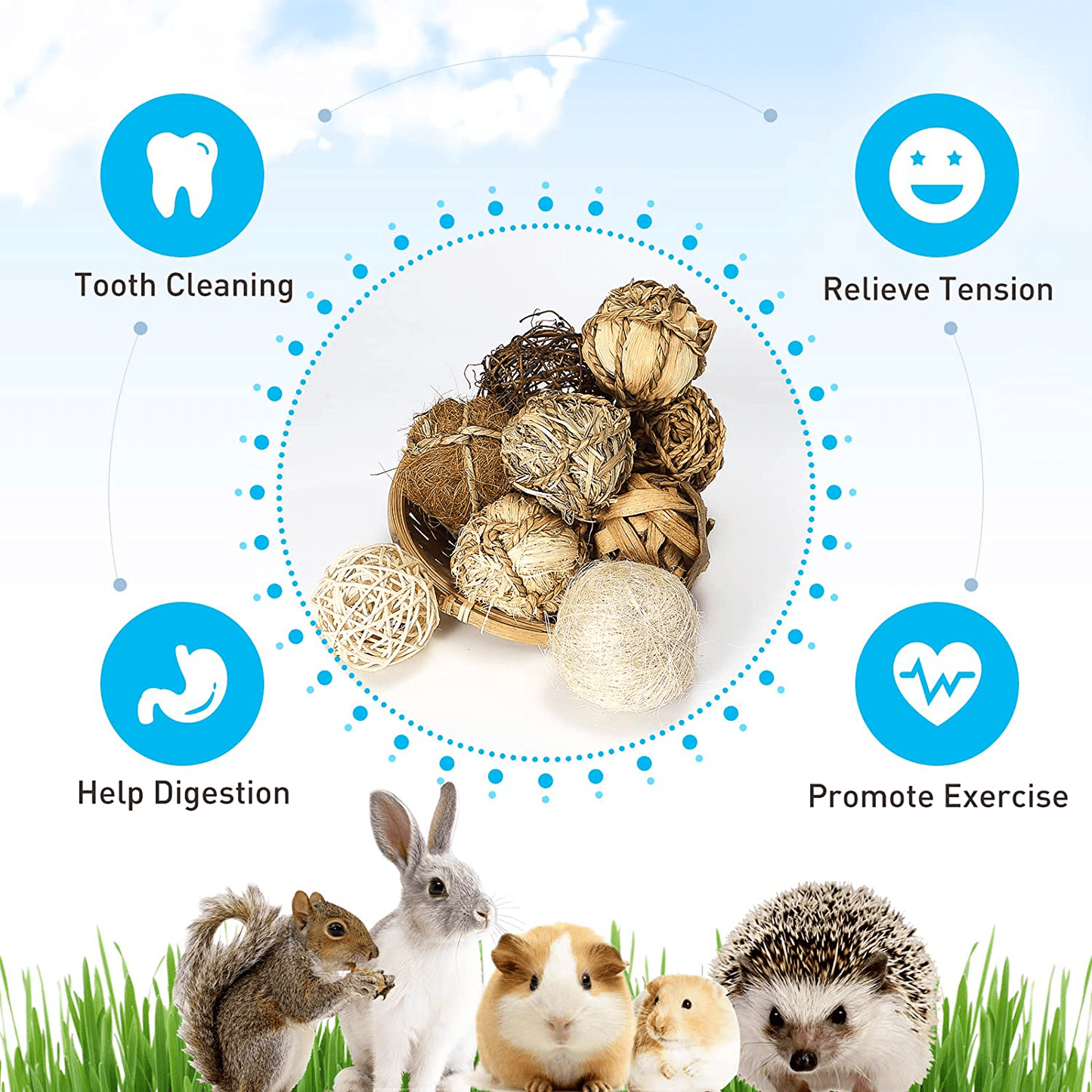 9 Pcs Small Animals Play Balls, Chew Grass Balls & Rolling Chew Toys for Bunny, Improve Pets Dental Health for Rabbit, Chinchilla, Guinea Pigs, Hamsters, Gerbils, Rats, Mice Animals & Pet Supplies > Pet Supplies > Small Animal Supplies > Small Animal Treats DAMPET   