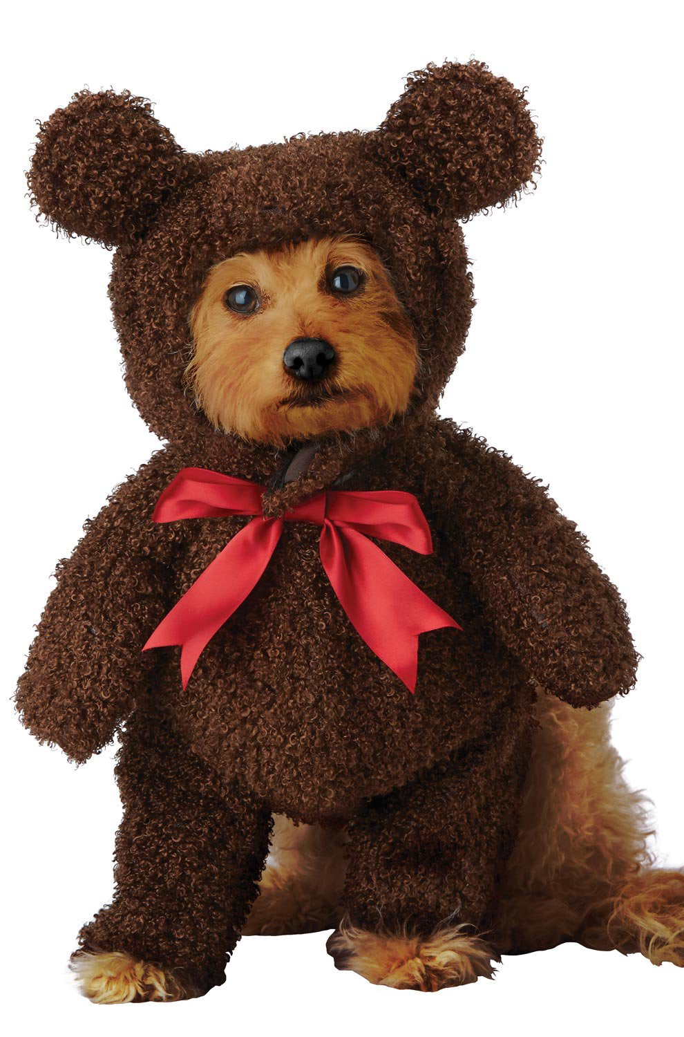 Sweet Teddy Bear Pet Costume Animals & Pet Supplies > Pet Supplies > Dog Supplies > Dog Apparel California Costumes XS  