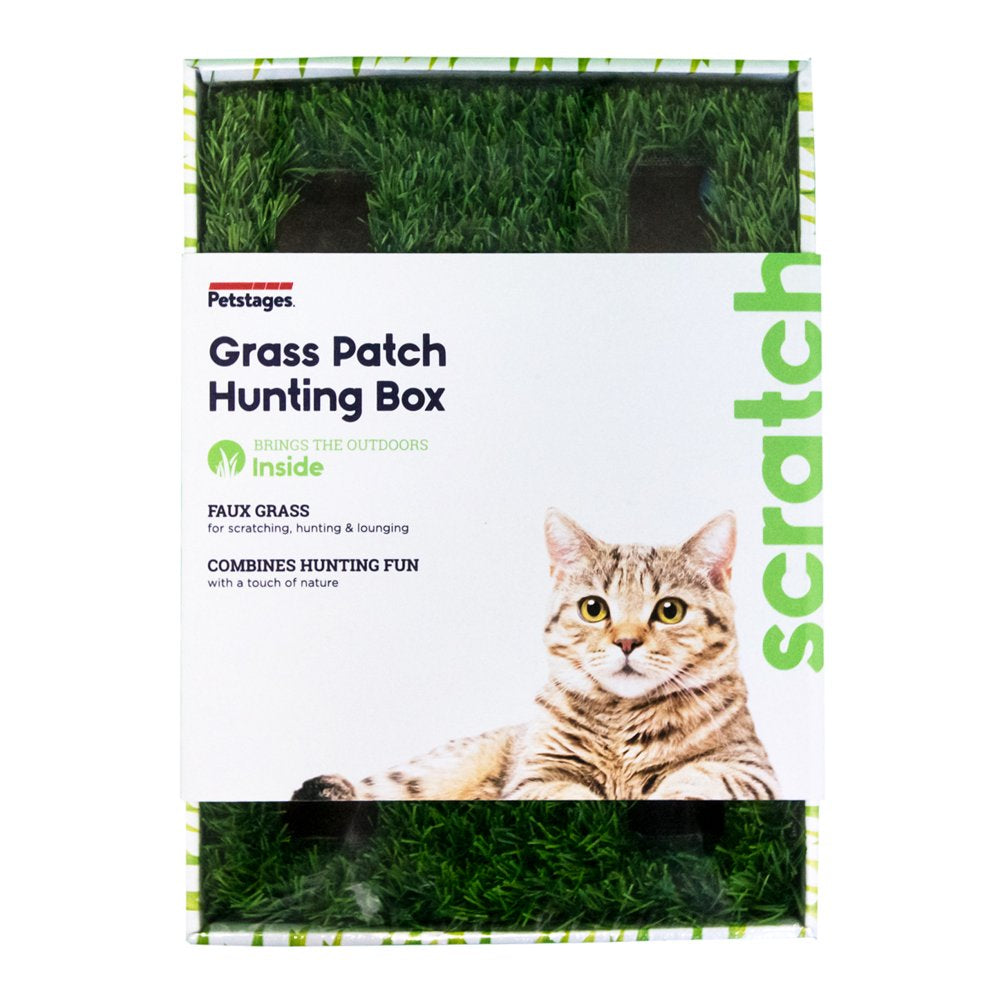 Petstages Grass Patch Hunting Box Interactive Cat Toy, Green, One-Size Animals & Pet Supplies > Pet Supplies > Cat Supplies > Cat Toys Outward Hound Holdings   