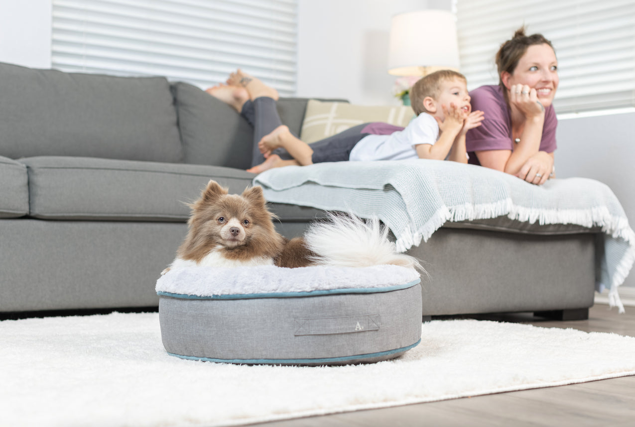 Allswell Premium round Bed - Perfect for Small Dogs and Cats Animals & Pet Supplies > Pet Supplies > Cat Supplies > Cat Beds Allswell   