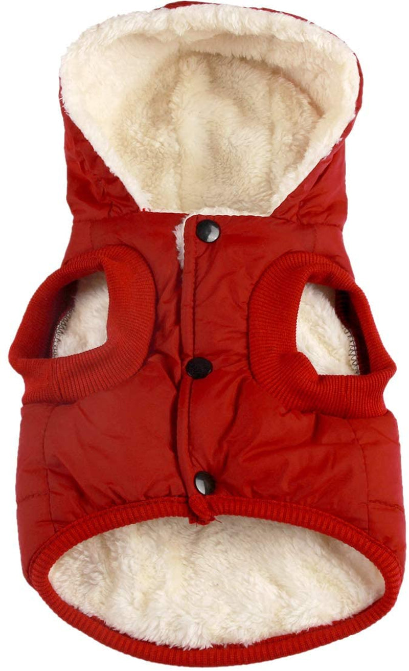 Vecomfy Fleece Lining Extra Warm Dog Hoodie in Winter,Small Dog Jacket Puppy Coats with Hooded,Red S Animals & Pet Supplies > Pet Supplies > Dog Supplies > Dog Apparel Yingxu Red X-Small (Pack of 1) 