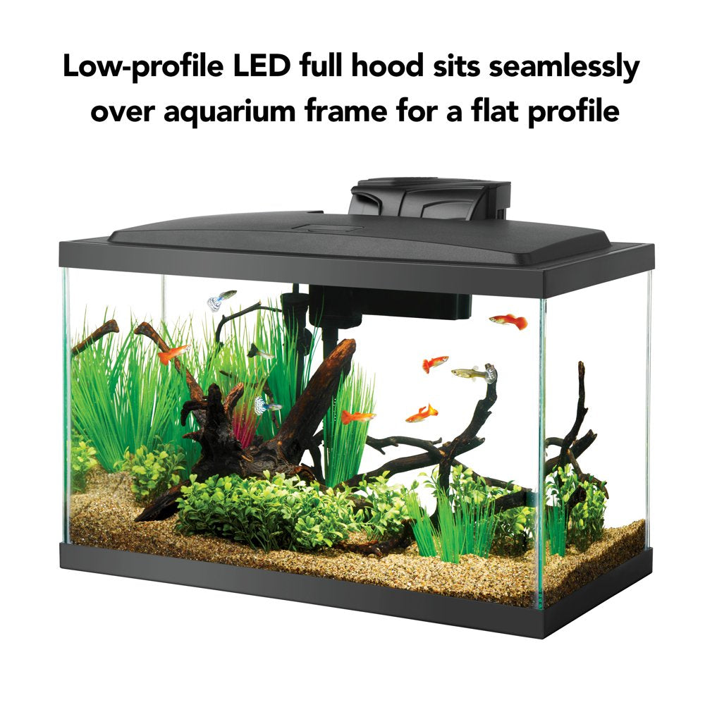 Aqueon Aquarium Starter Kit with LED Lighting 10 Animals & Pet Supplies > Pet Supplies > Fish Supplies > Aquarium Lighting Central Garden and Pet   