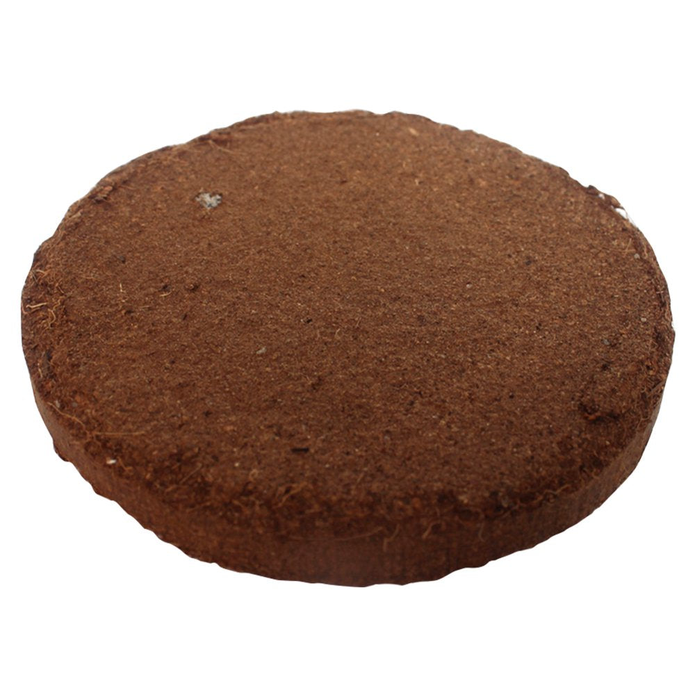 Reptile Substrate Coconut Fiber Soil Bricks Mat Turtle Lizard Bottom Supplies Animals & Pet Supplies > Pet Supplies > Reptile & Amphibian Supplies > Reptile & Amphibian Substrates Volpter   