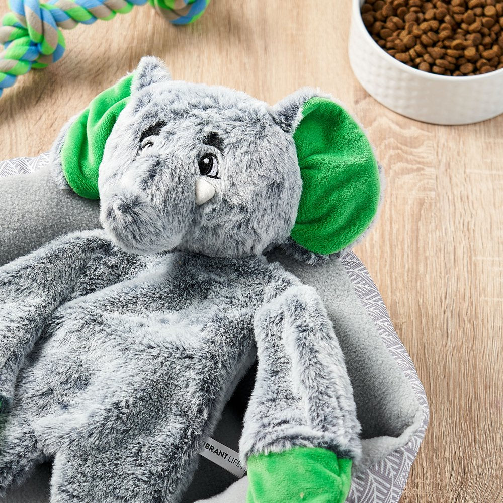 Vibrant Life Safe & Sustainable Cozy Buddy Elephant Dog Toy, Chew Level 2, Large