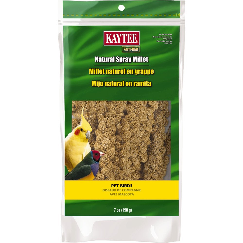 Kaytee Forti-Diet Spray Millet, 7 Oz, Treat for Pet Birds Animals & Pet Supplies > Pet Supplies > Bird Supplies > Bird Treats Central Garden and Pet   