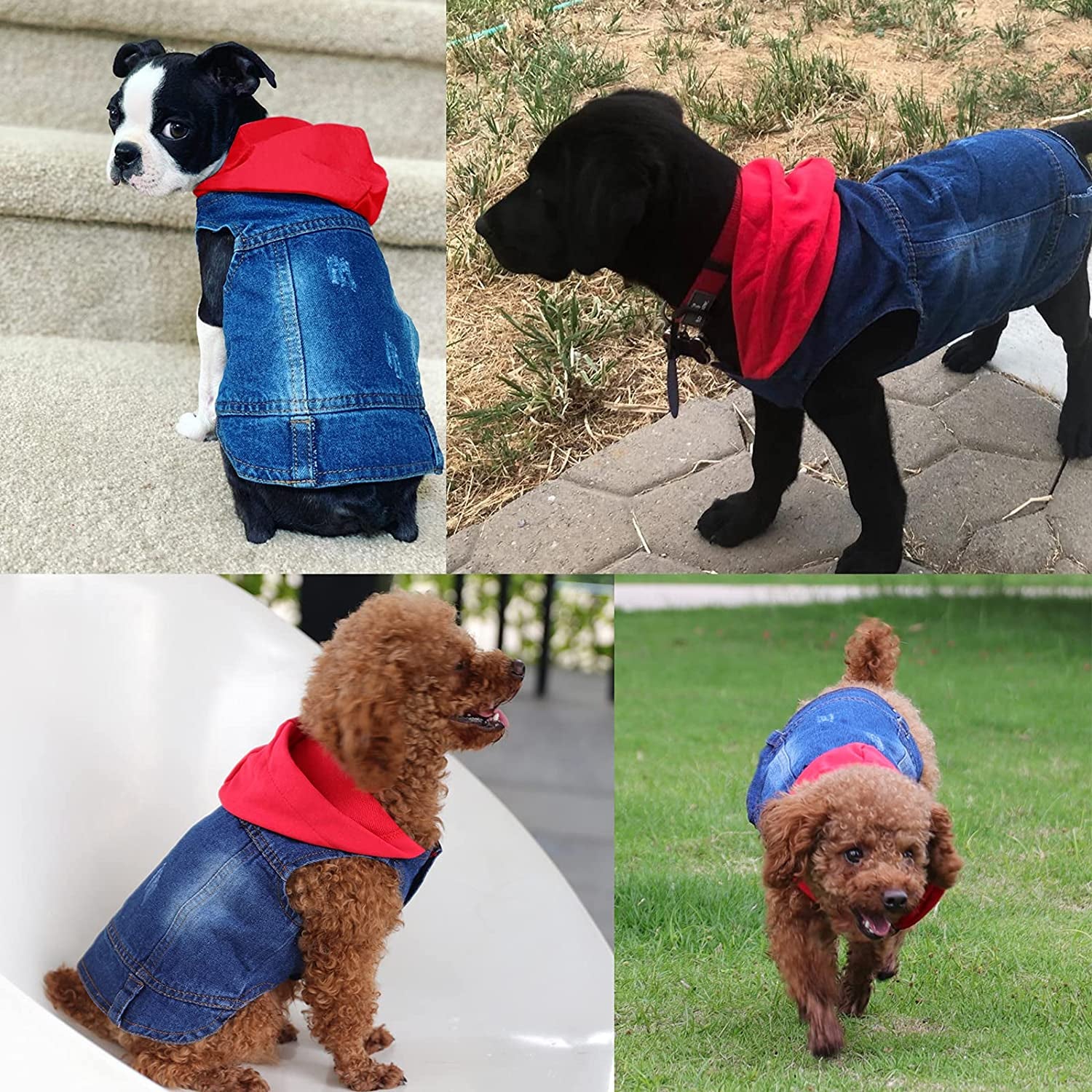 QTART Dog Hoodie Small Dog Sweater Boy Girl Puppy Clothes Pet Denim Apparel Cute Dogs Sweaters Chihuahua Sweatshirt for Yorkie, French Bulldog, Dachshund, L, Red Animals & Pet Supplies > Pet Supplies > Dog Supplies > Dog Apparel QTART   