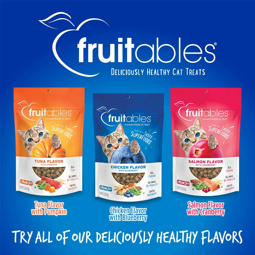 Fruitables Cat Treats | Made with Real Chicken with Blueberry | 2.5 Ounces