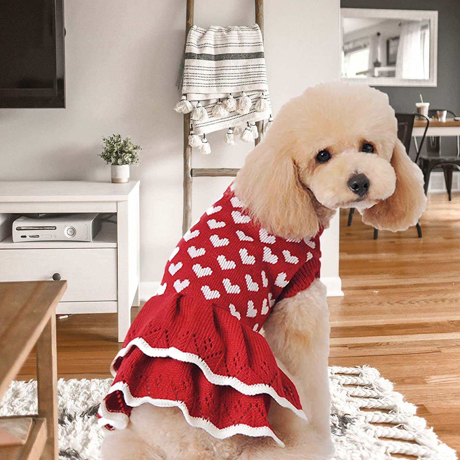 CHBORLESS Dog Sweater Puppy Dress: Warm Pet Small Dogs Clothes Winter Dog Heart Sweater Doggy Sweatshirt Doggie Coat Cat Clothing Kitten Dresses (Red, X-Small) Animals & Pet Supplies > Pet Supplies > Dog Supplies > Dog Apparel CHBORLESS   