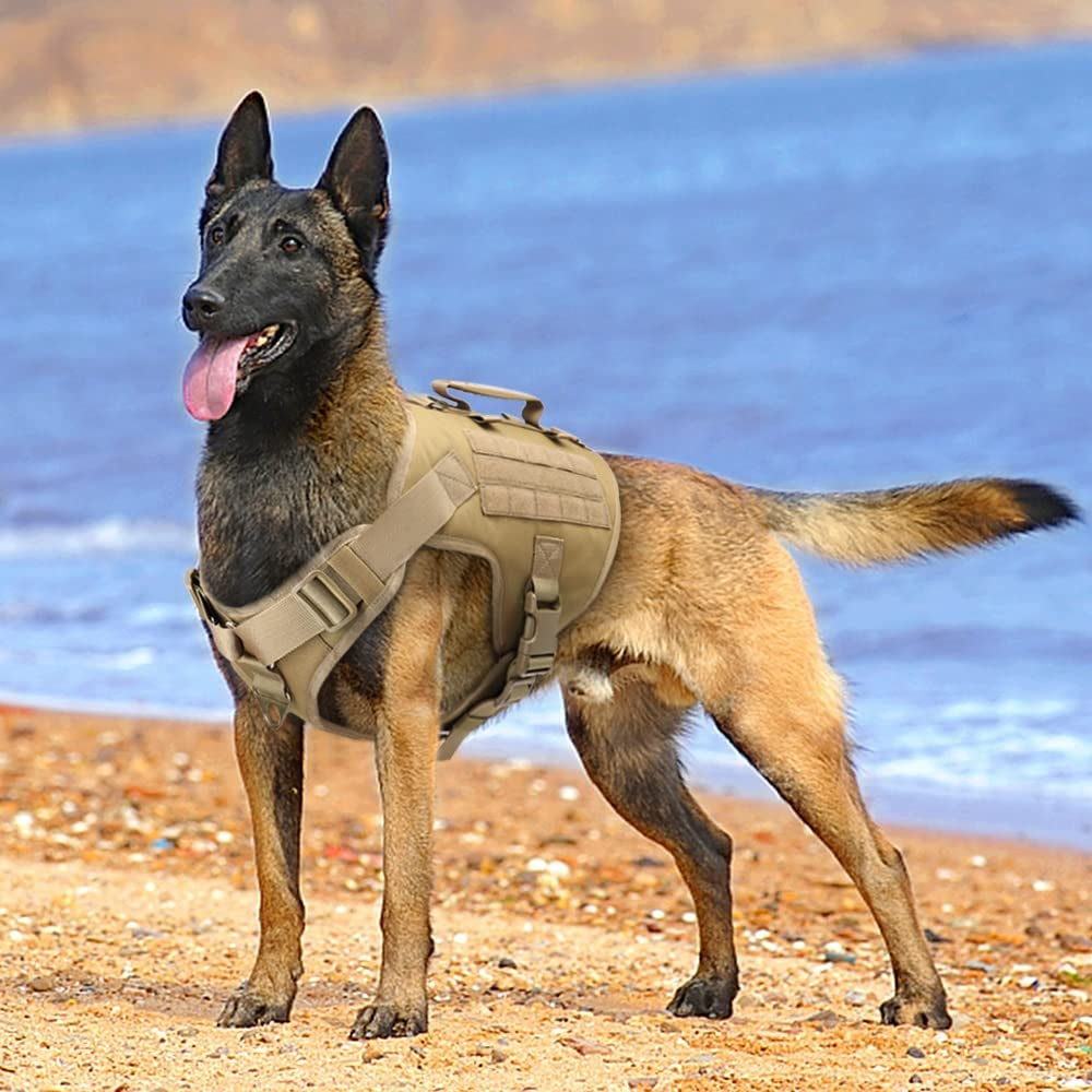 SXNBH Dog Harness Pet Military Training Dog Vest Shepherd Dog Harness Molle Vest for Medium Large Dogs ( Color : E , Size : M ) Animals & Pet Supplies > Pet Supplies > Dog Supplies > Dog Apparel chuju   