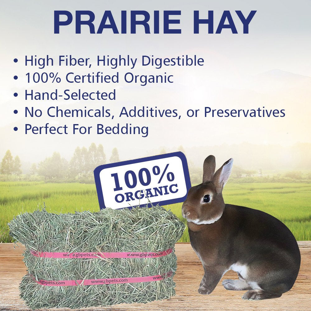 Grandpa'S Best Certified Organic Prairie Grass Hay Mini Bale for Small Animals - 10Lb Animals & Pet Supplies > Pet Supplies > Small Animal Supplies > Small Animal Food Grandpa's Best LLC   