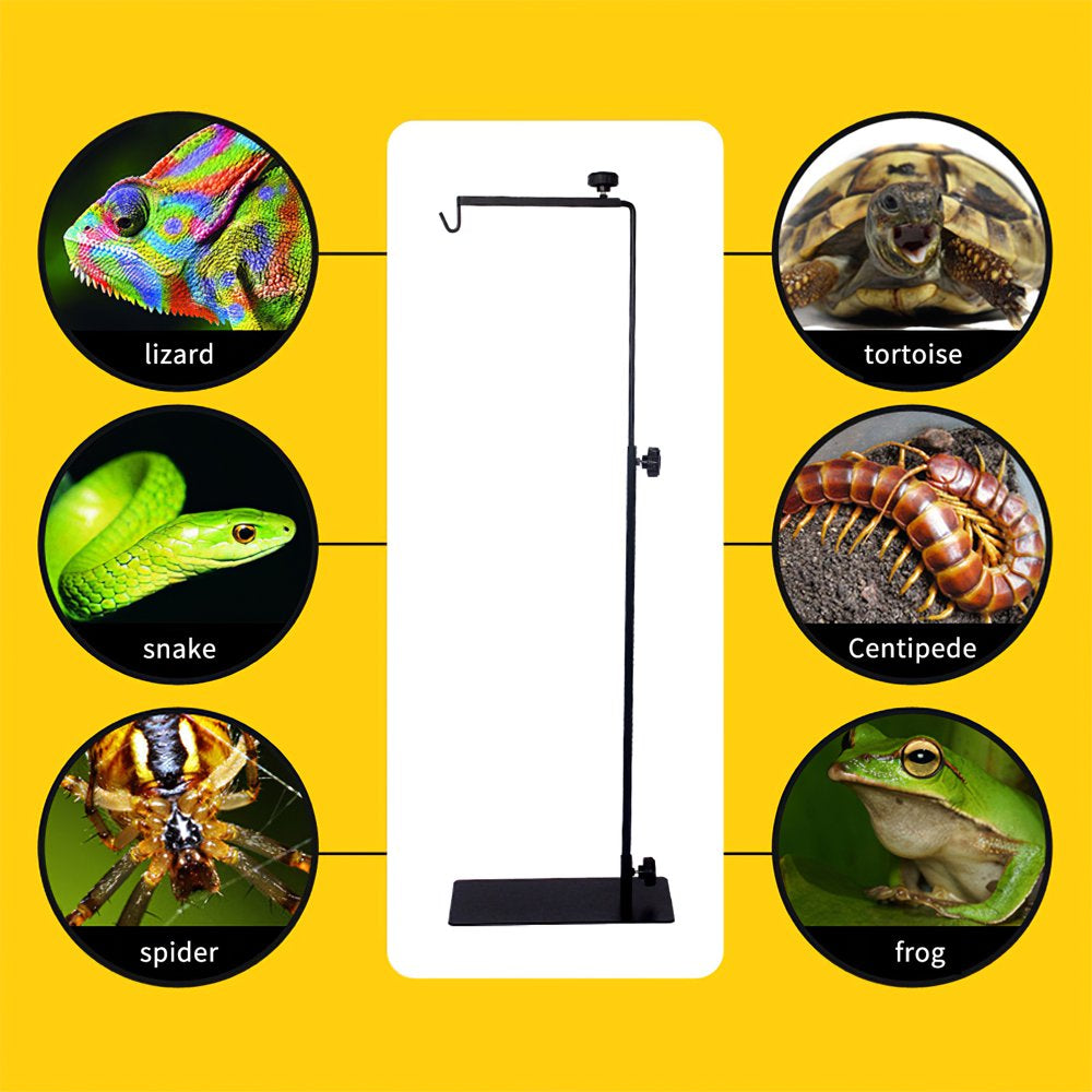 Reptile Lamp Stand for Habitat Cage Landing Lamp Holder Bracket with Base Support for Reptile Terrarium Light Stand Floor Lamp Stand with Lampshade Floor Stand Lamp Animals & Pet Supplies > Pet Supplies > Reptile & Amphibian Supplies > Reptile & Amphibian Habitat Heating & Lighting wrea   
