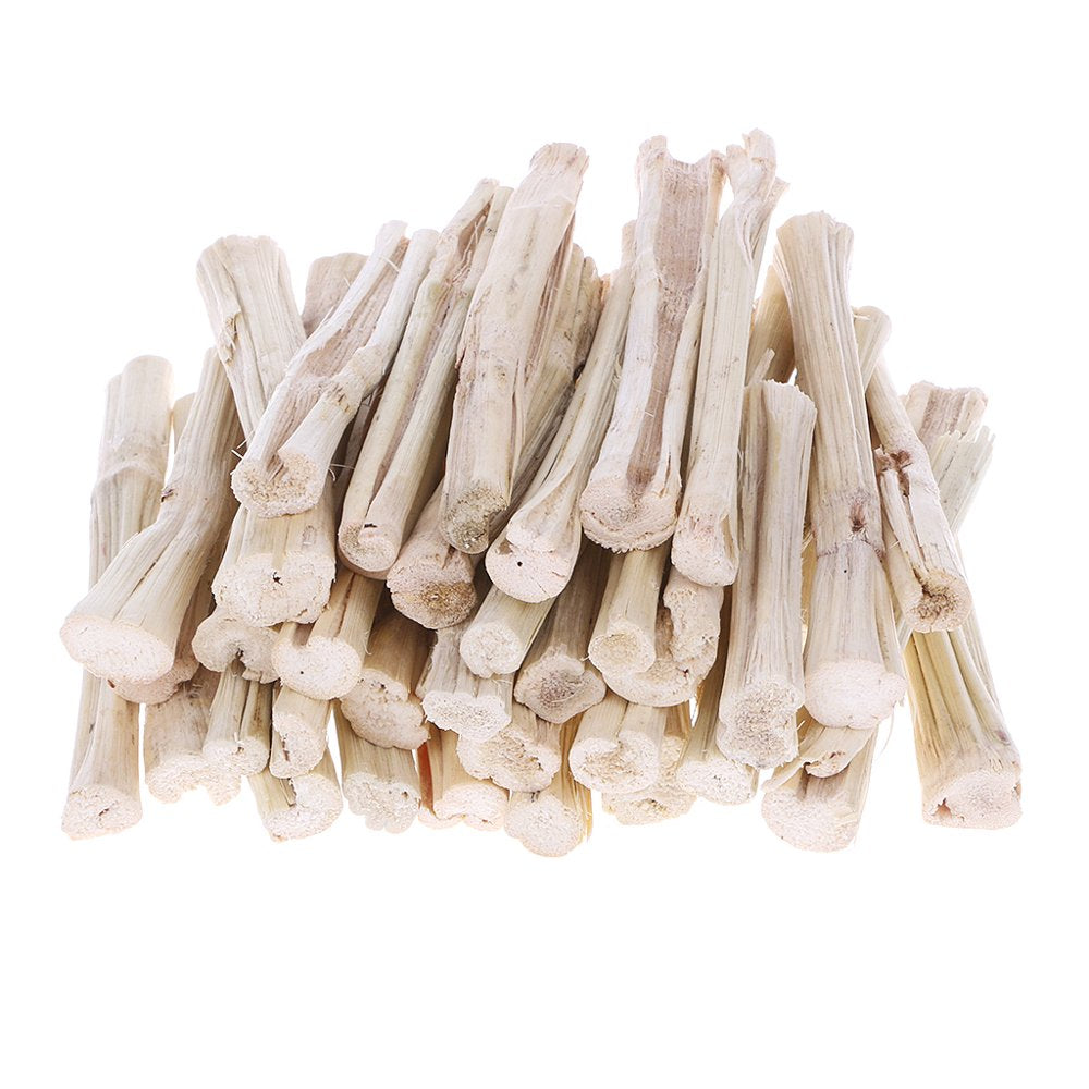TONKBEEY Sweet Bamboo Stick 500G Rabbit Parrot Eat Guinea Pig Snacks Cleaning Teeth Treat for Chinchilla Guinea Pigs Supplies Animals & Pet Supplies > Pet Supplies > Small Animal Supplies > Small Animal Treats TONKBEEY   